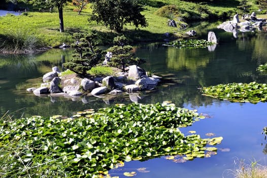 Japanese Garden Park Anduze bamboo where almost all species are represented and promoted in an Asian garden
