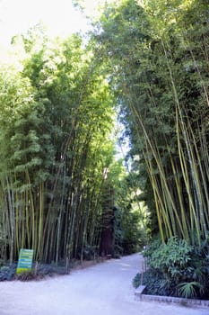 gate of the Japanese garden entrance in park Anduze bamboo where almost all species are represented and promoted in an Asian garden