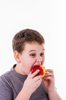 little boy with apple isolated on white background