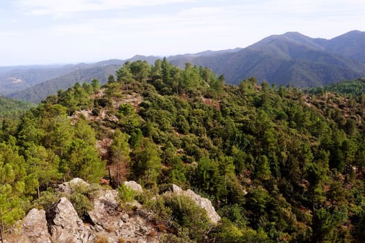 Nature in the mountains of the Cevennes on the edge of Gard and Lozere in south-eastern France.