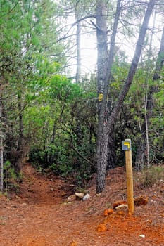 Sign indicating the direction to follow a trail for hikers