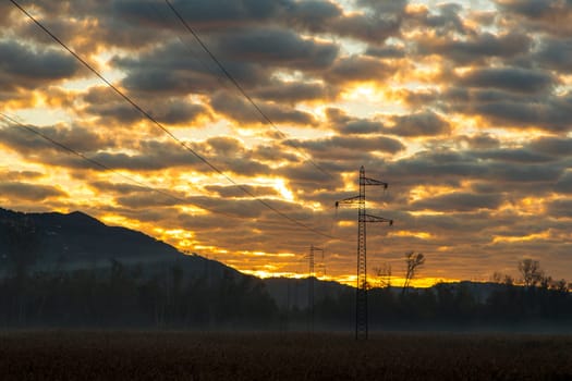 View of a current trellis in a natural park at dawn