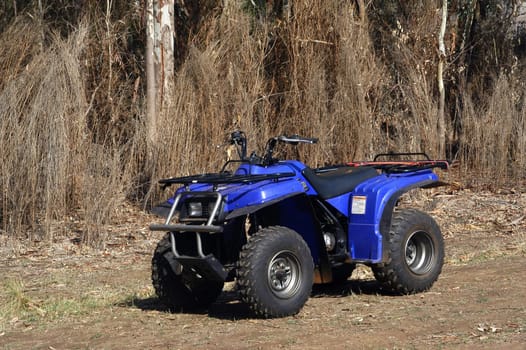 in quad in the Australian bush