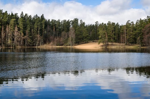 Spring landscape at wood lake