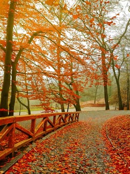 Autumn. Fall scene. Beautiful Autumnal park. Beauty nature scene. Autumn Trees and Leaves, in Sunlight