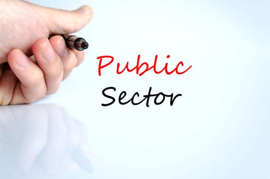 Public sector text concept isolated over white background