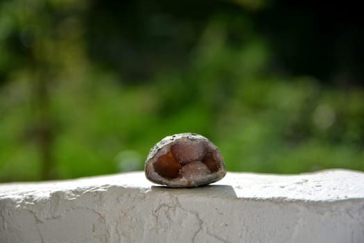 Druse Geode Agatestone on white wall against a green natural background