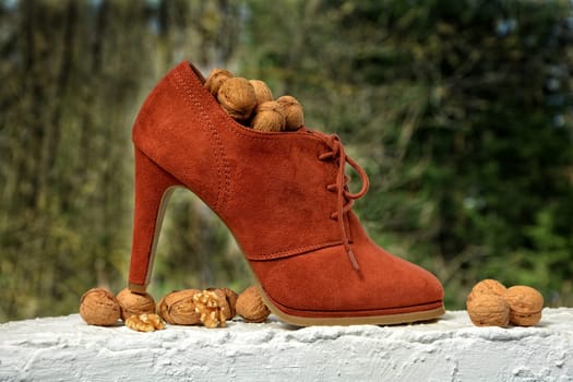 High heels with walnuts on white wall against a green natural background