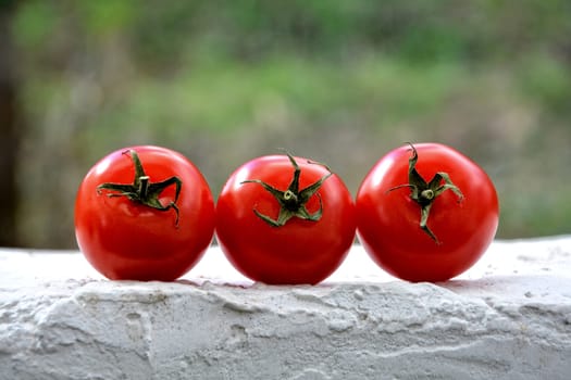 Three ripe red tomatoes lie side by side on a white wall against a dark background