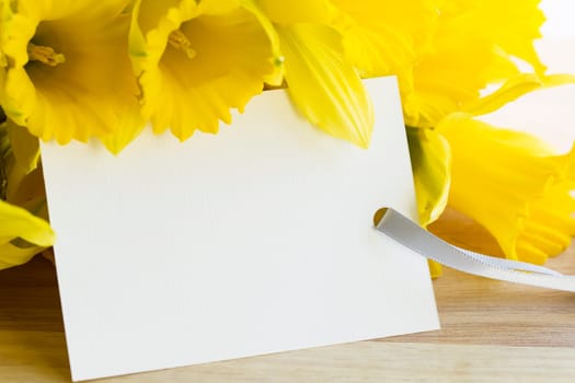 Daffodils and greeting card for spring, Easter, Mother's Day or just because.