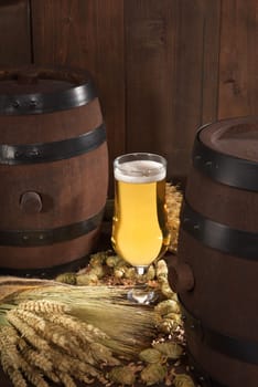 Beer glass with beer barrels,wheat,barley,hops and malt