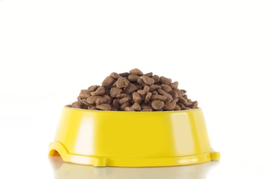 Dog food in yellow bowl, isolated on white studio background