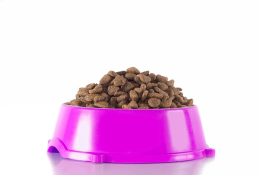 Dog food in fuchsia bowl, isolated on white studio background