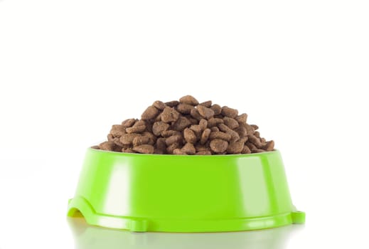 Dog food in light green bowl, isolated on white studio background