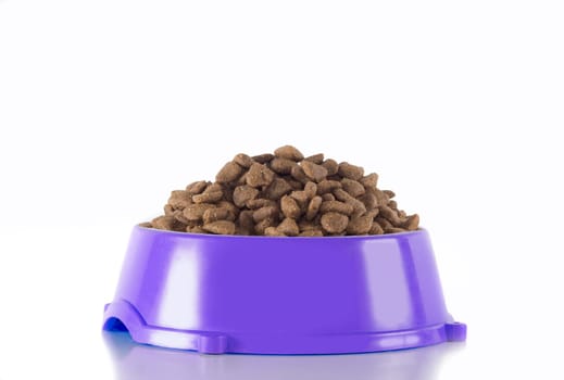 Dog food in purple bowl, white studio background