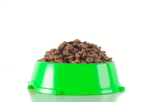 Dog food in green bowl, isolated on white studio background