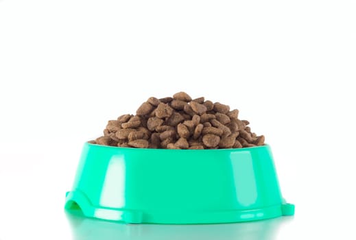 Dog food in ocean green bowl, isolated on white studio background