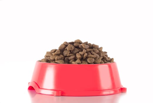 Dog food in red bowl, isolated on white studio background