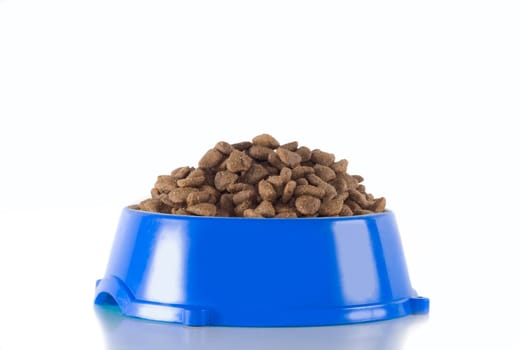 Dog food in dark blue bowl, isolated on white studio background