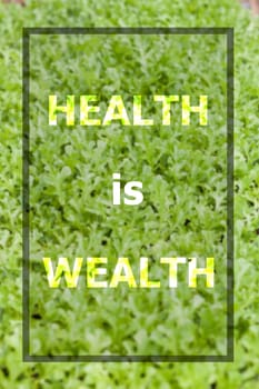 Health is wealth inspirational quote on vegetable background