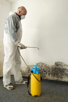 Specialist in the control of mould in an apartment