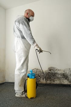 Specialist in the control of mould in an apartment