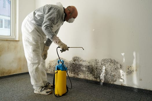 Specialist in the control of mould in an apartment