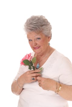 A lovely senior woman in a white sweater and short gray hair holding a.pink rose on her chest, isolated for white background..