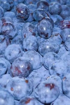 Closeup of picked plums