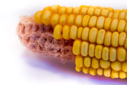 Crowned corn cob, isolated on white background