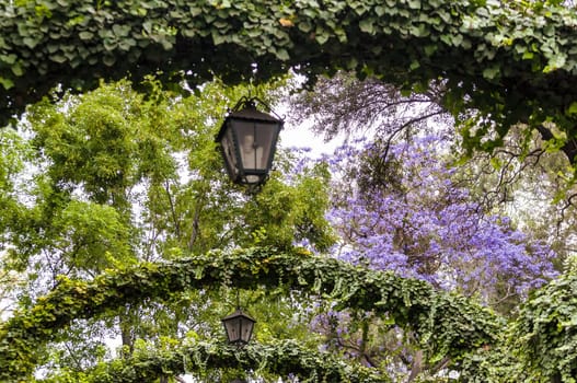 Lush green gardens on Tepeyac Hill in Mexico City