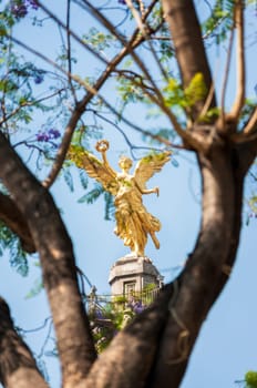 Angel of Independence monument in Mexico City framed by a tree
