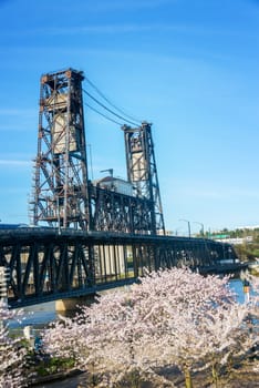 Vertical view of blooming cherry blossoms and the Steel Bridge in Portland, Oregon