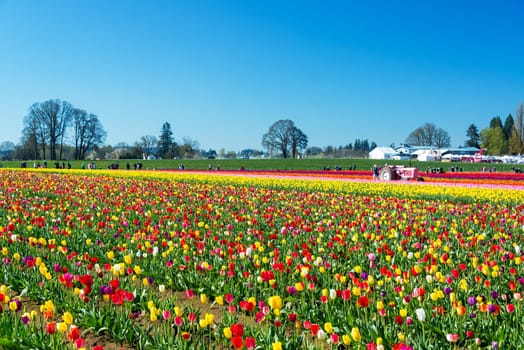 WOODBURN, OR - MARCH 30
