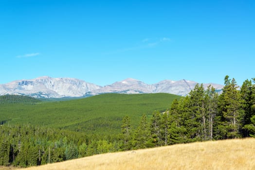Bighorn mountain range and dense forest outside of Buffalo, Wyoming