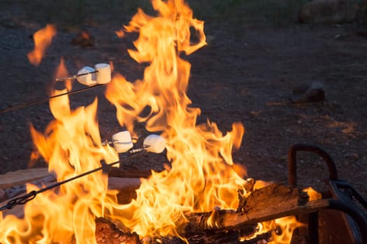 Camping food marshmallow