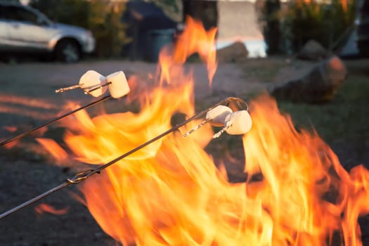 Camping food marshmallow