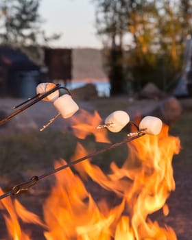 Camping food marshmallow