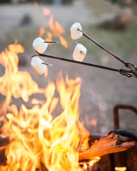 Camping food marshmallow