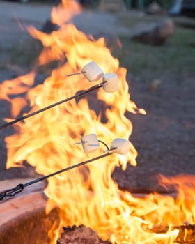Camping food marshmallow