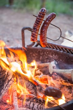 Preparing sausage on campfire