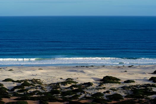 Great Australian bight marine parc