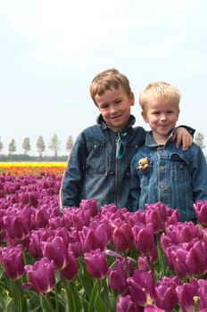 Two brothers standing in a field of purple tulips.