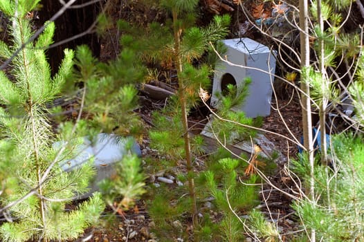 illegal dumping in the forest Victoria Australia