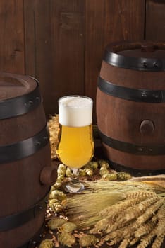Beer glass with beer barrels,wheat,barley,hops and malt