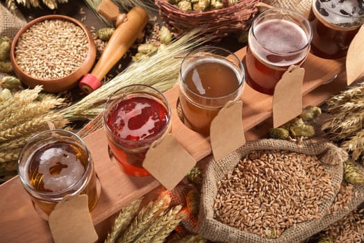 Beer carriers with many different beers,wheat,barley,hops and malt