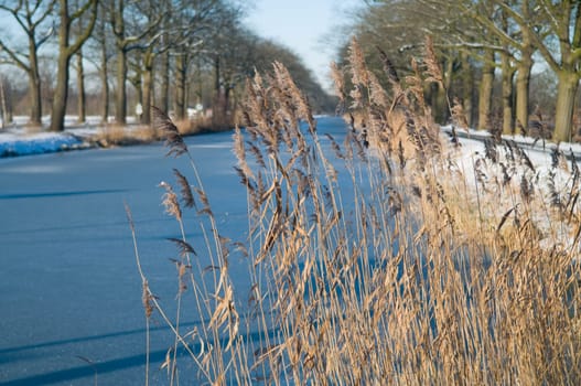 Lovely winter scenic on a cold day
