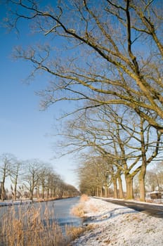 Lovely winter scenic on a cold day