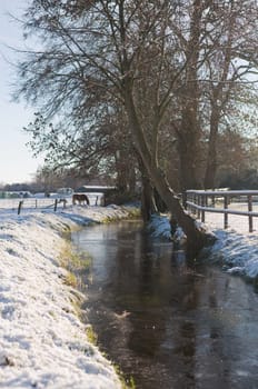 Lovely winter scenic on a cold day