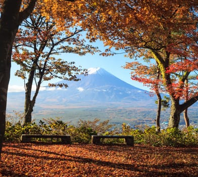 The fall season of Mt. Fuji in Japan with nice yellow color